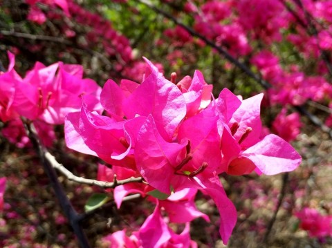 Фотография сделанная днём 1