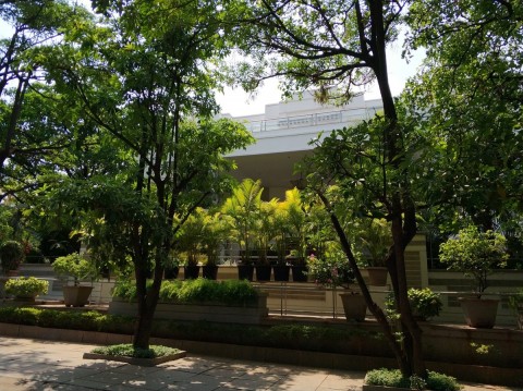 Фотография сделанная днём 2