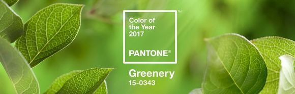 Greenery-цвет 2017 года Greenery-цвет 2017 года