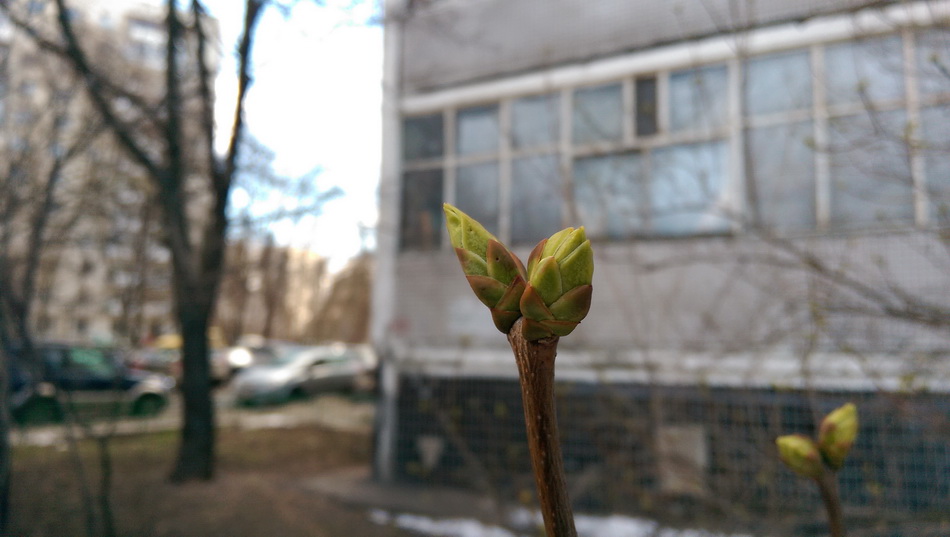 HTC One (M8)-ручная фокусировка HTC One (M8)-ручная фокусировка