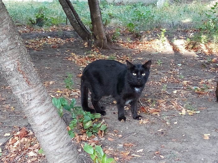 IMG_20180918_084347_8