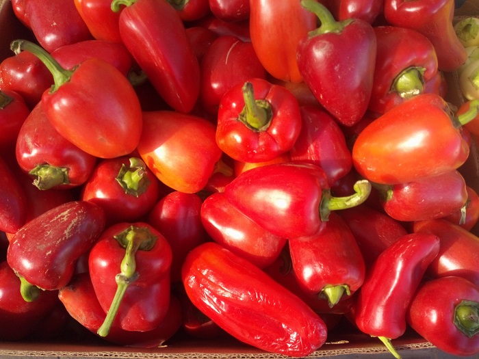 IMG_20180919_151533_0