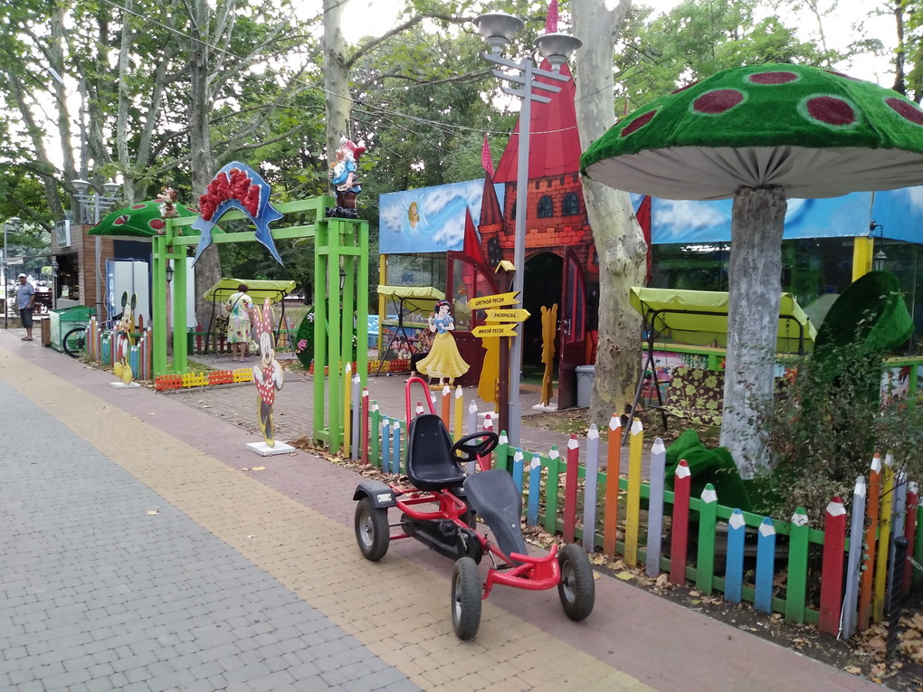 LG Q6 M700-пример фото с основной камеры 13