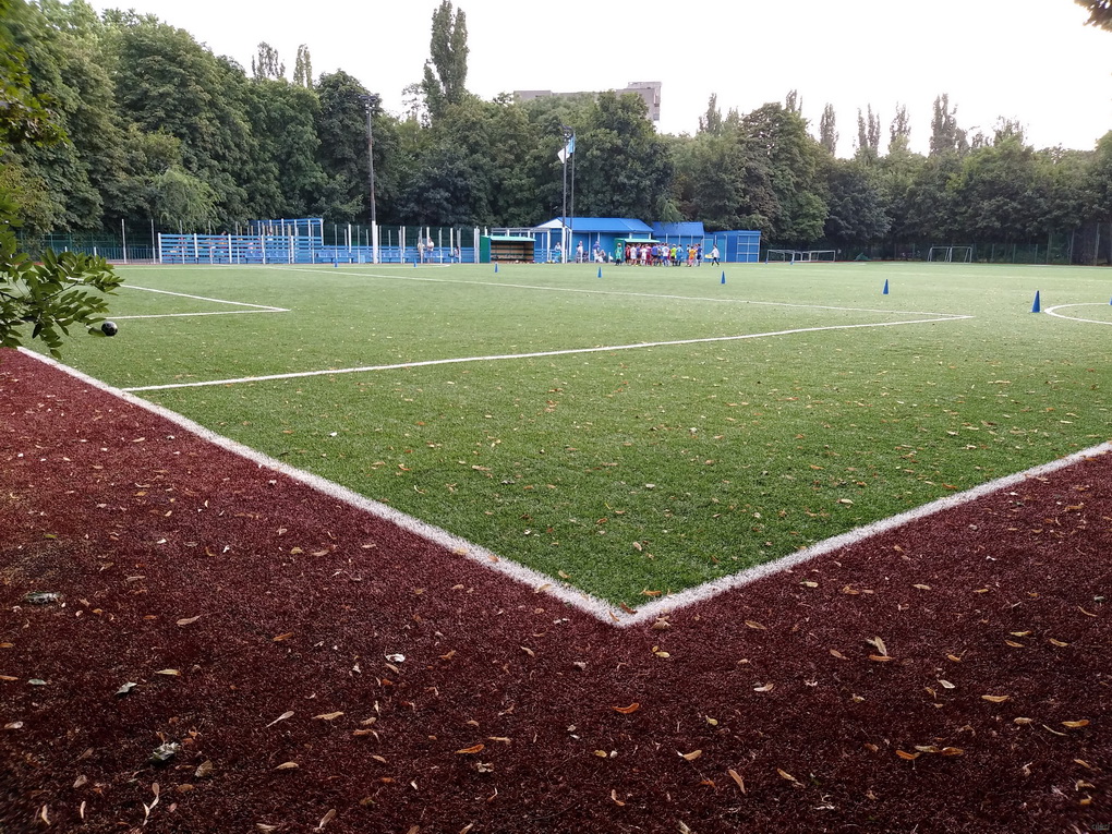 LG Q6 M700-пример фото с основной камеры 14