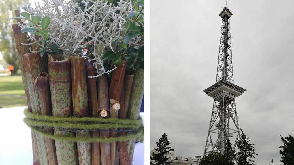 LG V30-camera samples 12