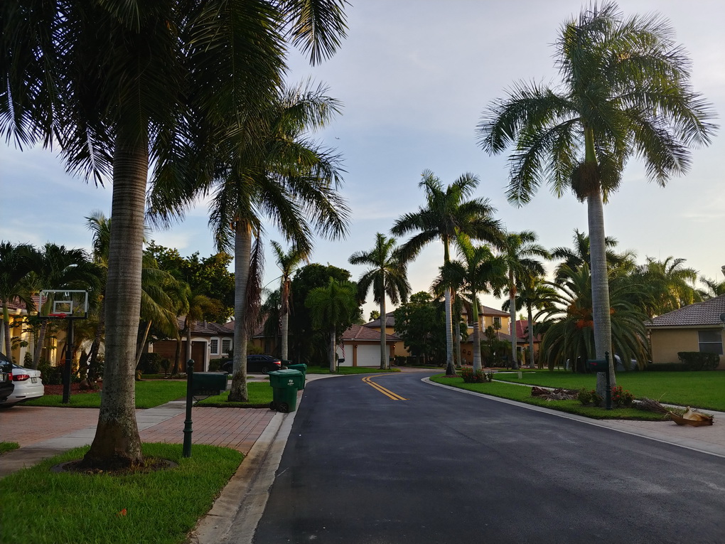 LG V30-camera samples 5