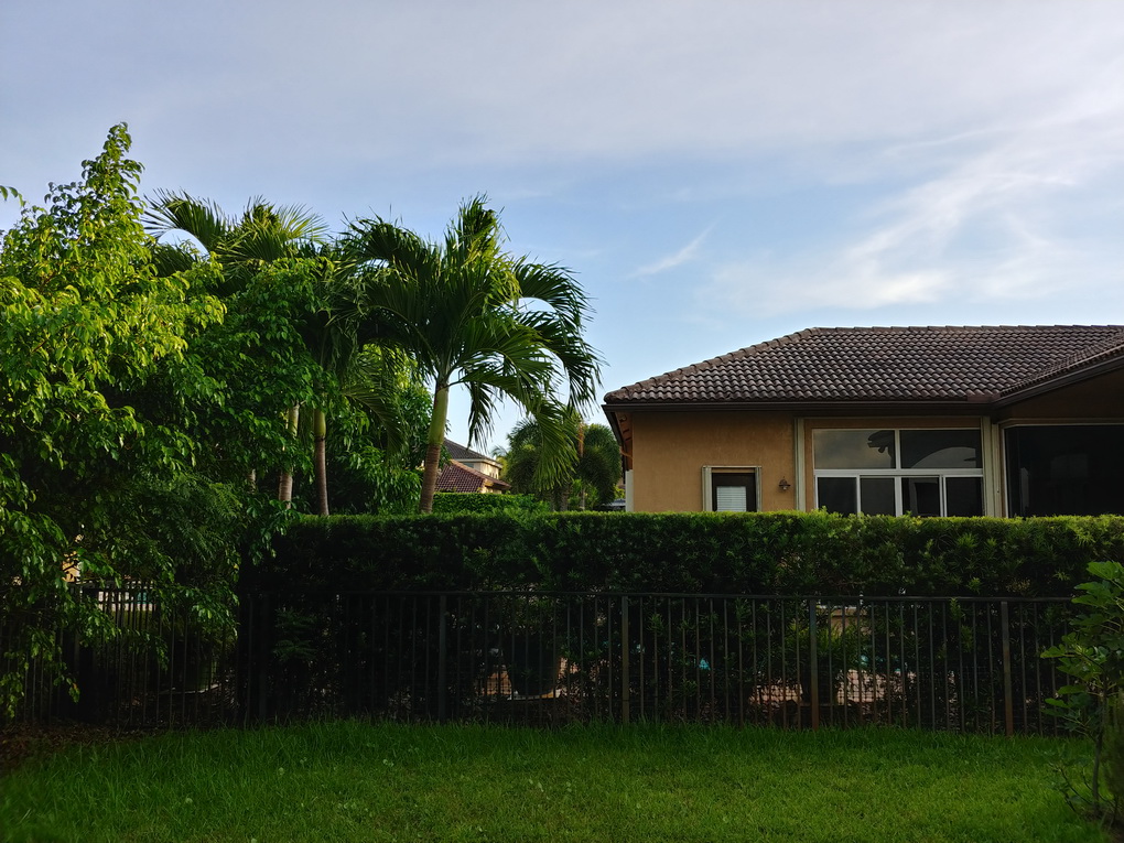 LG V30-camera samples 6