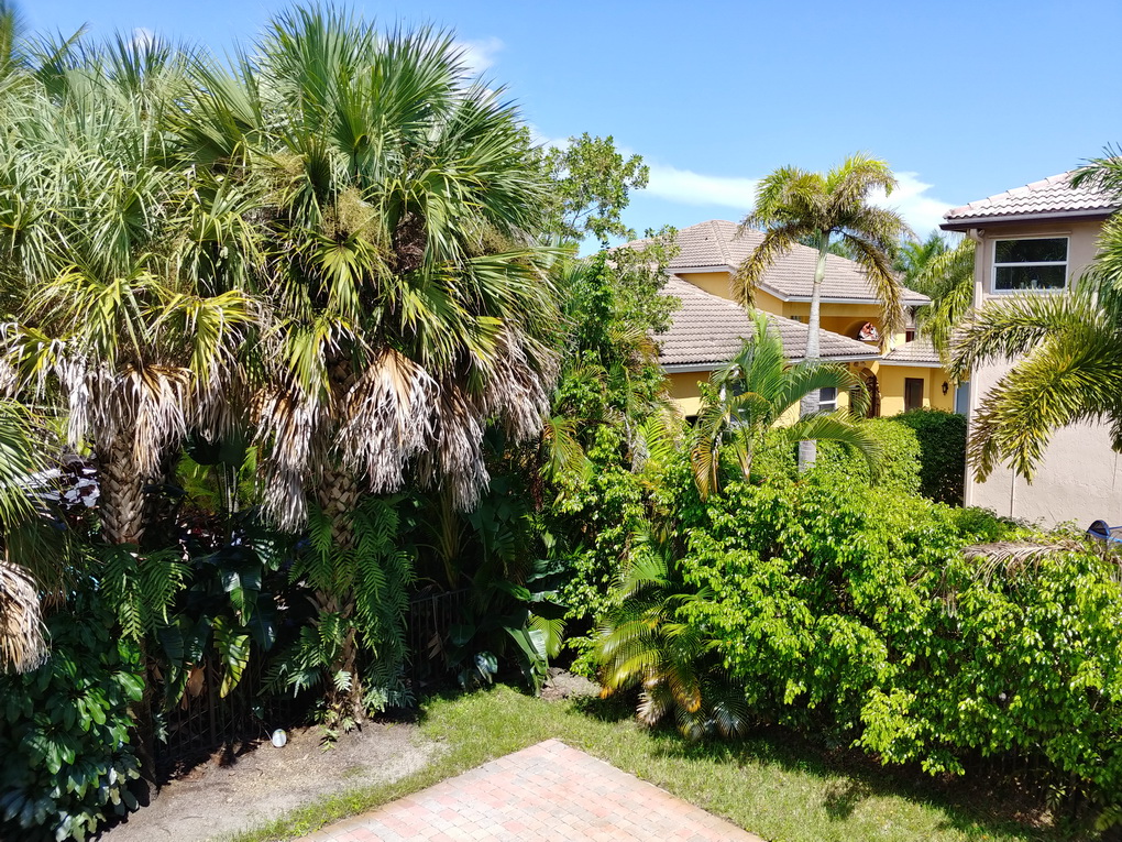 LG V30-camera samples main 1