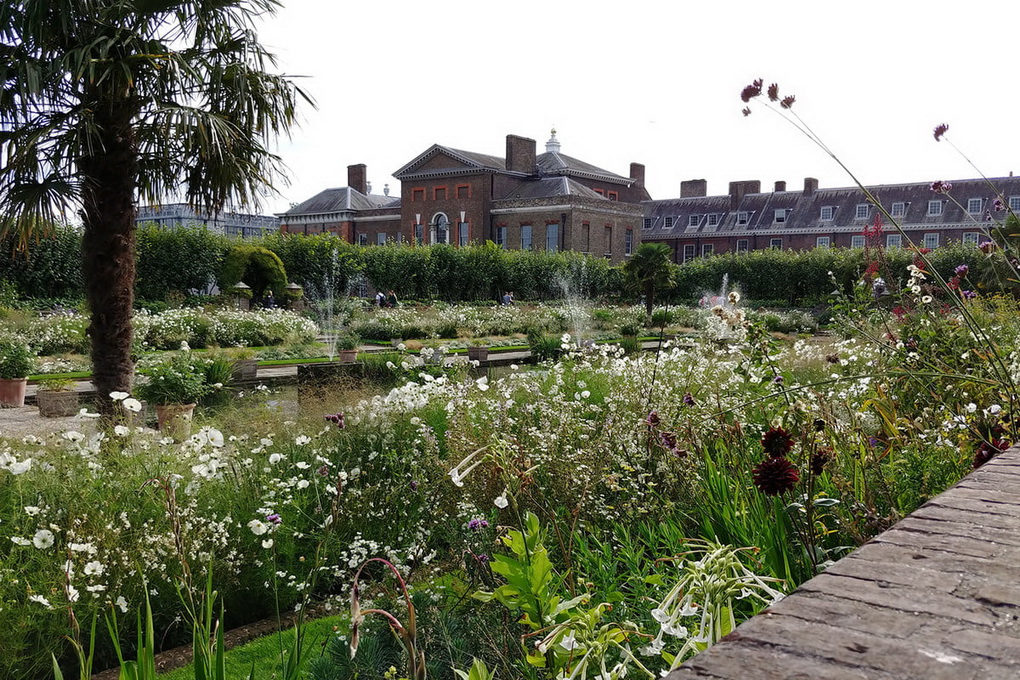 LG V30-работа камеры 8