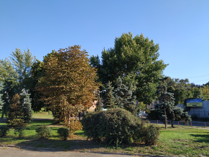 Обзор Xiaomi Mi A2 - 2