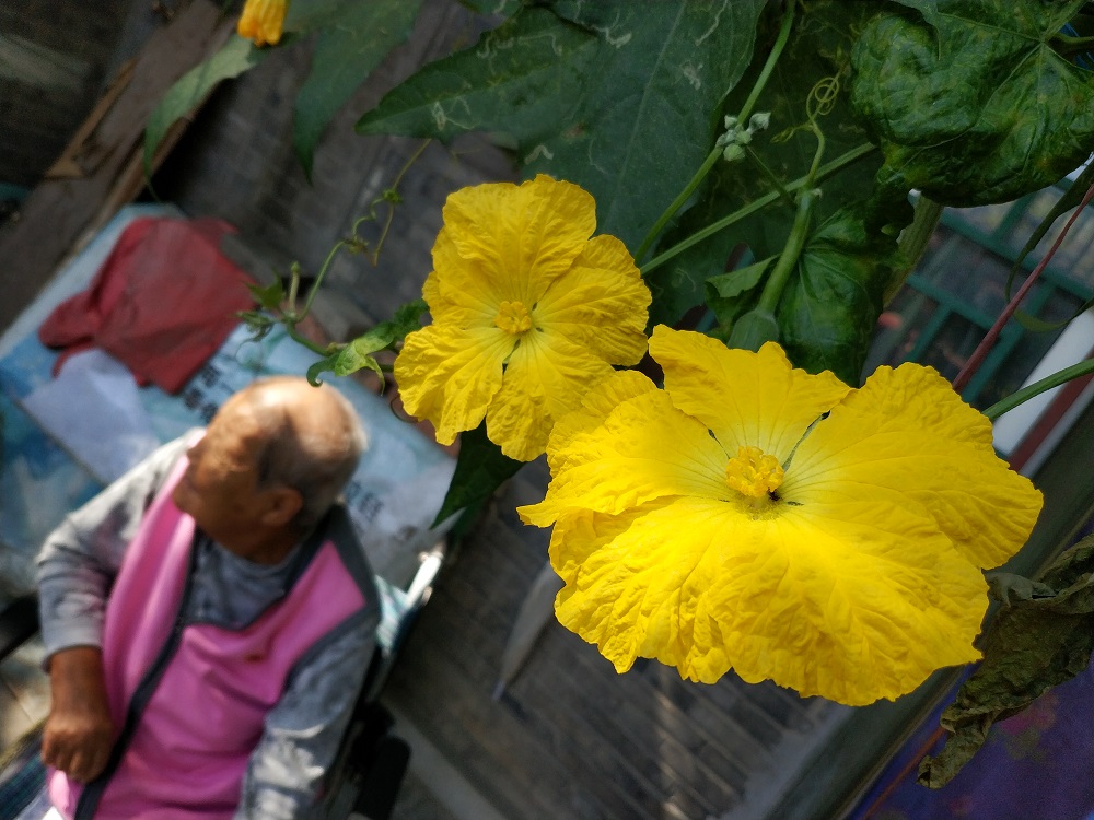 Обзор безрамочного смартфона Xiaomi Mi Mix 2 – пример фото 3