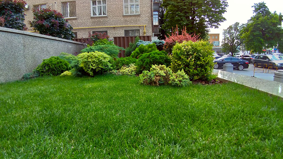 Обзор смартфона Asus Zenfone 5. максимум возможностей по умеренной цене - пример фото 2