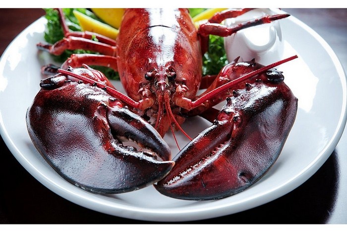 Photokitchen-photo 15