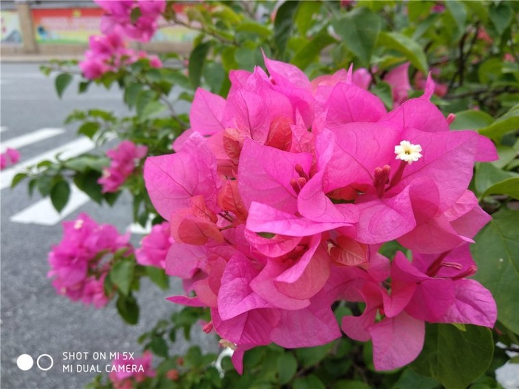 Примеры фотографий 2