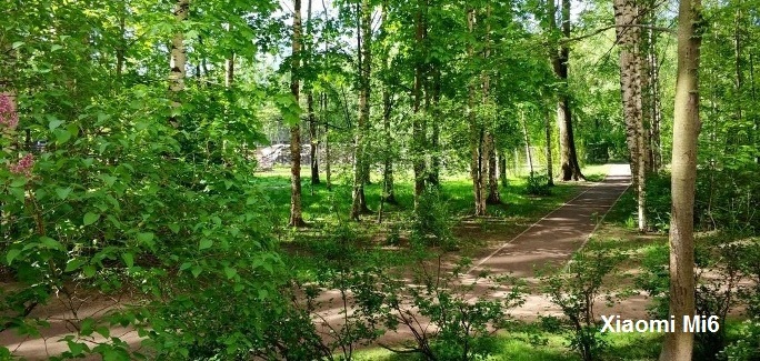 Примеры фотографий сделанных на смартфон Mi6