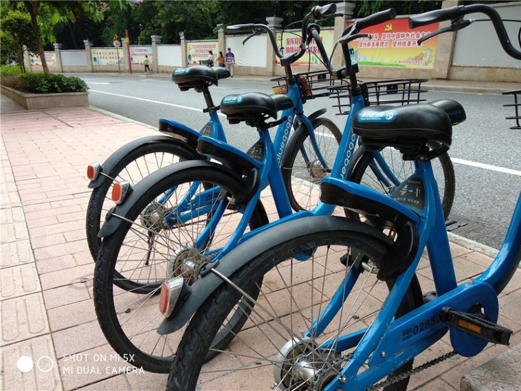 Примеры фотографий