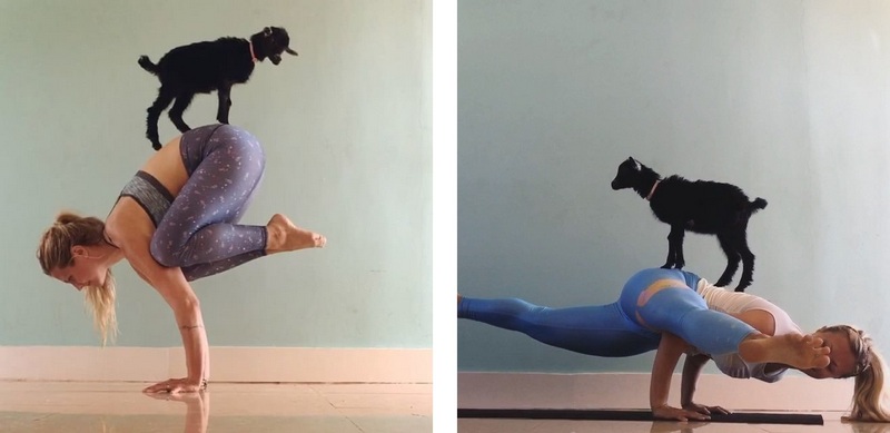 Rachel Brathen-йога с козой фото 8