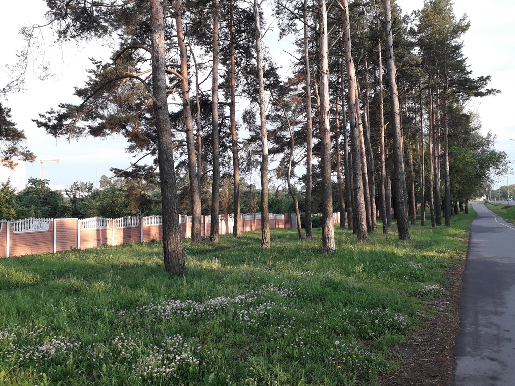 Samsung Galaxy J3 2017-пример снимка 11