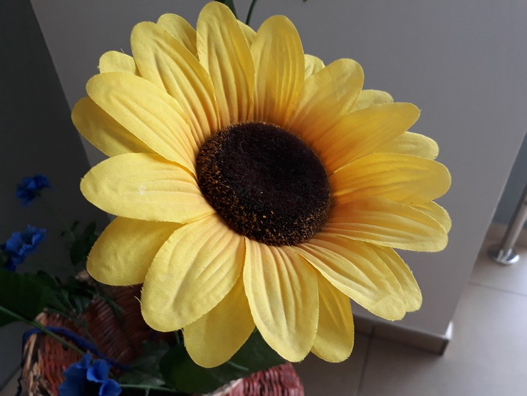 Samsung Galaxy J5 2017-пример снимка с основной камеры 9