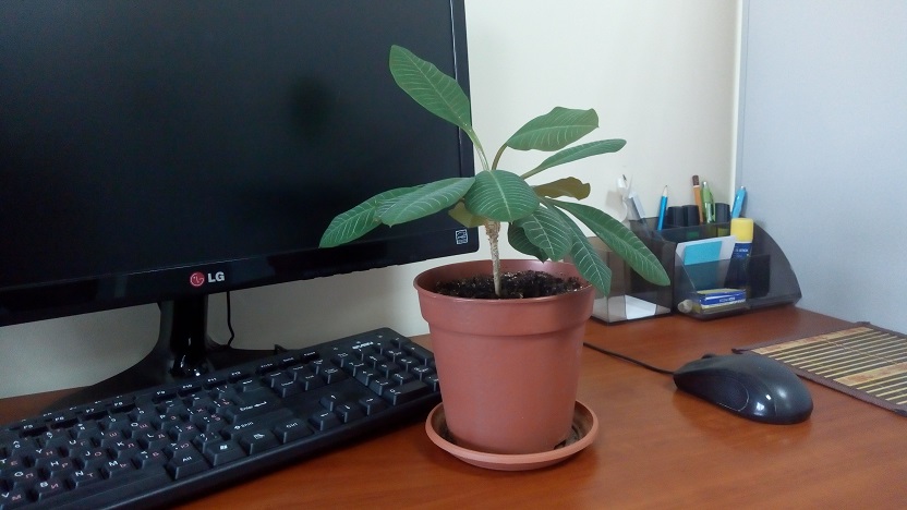 Съемка в помещении 2