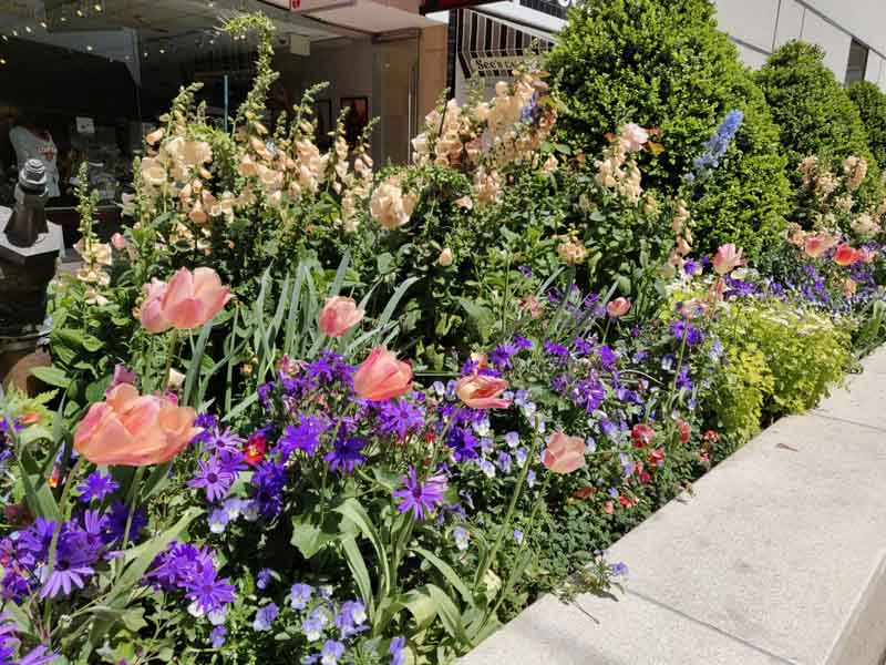 В сети появились фотографии, сделанные при помощи OnePlus 6 - фото 4