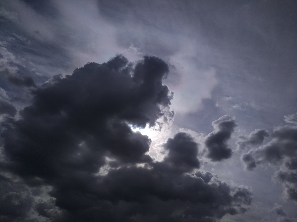 Xiaomi Mi Max 2-пример снимка 2