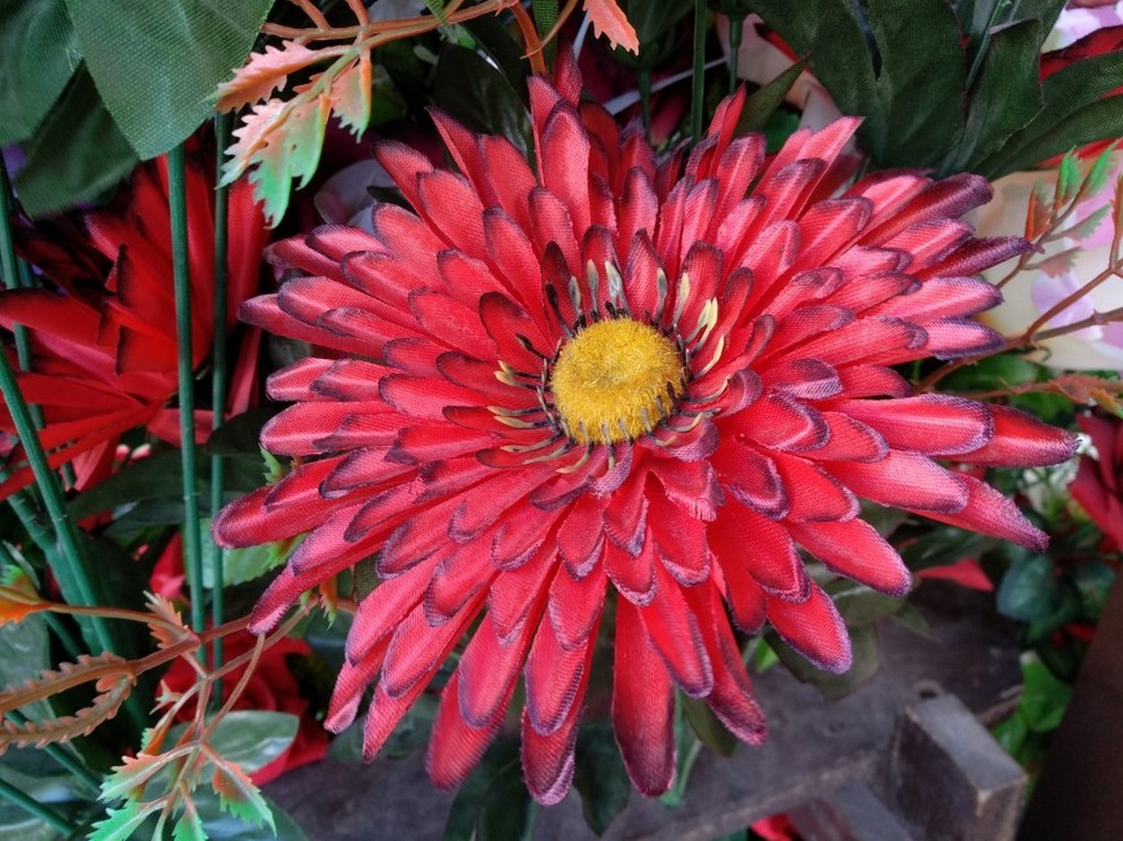 Xiaomi Mi Max 2-пример снимка 6