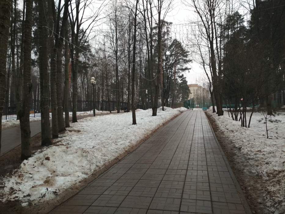 Xiaomi Redmi 4X-пример фото с основной камеры 2