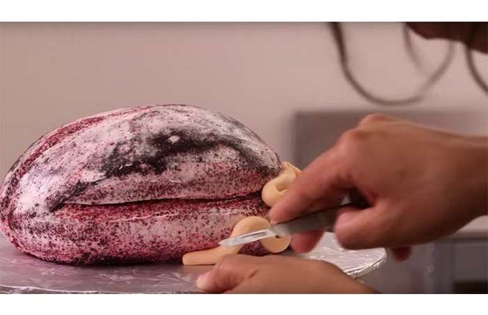 Yolanda Gampp-торт-мозги фото 2