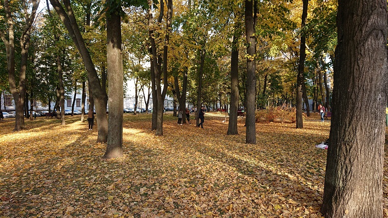 sony-xz3-24-10