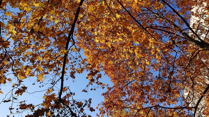 sony-xz3-24-2