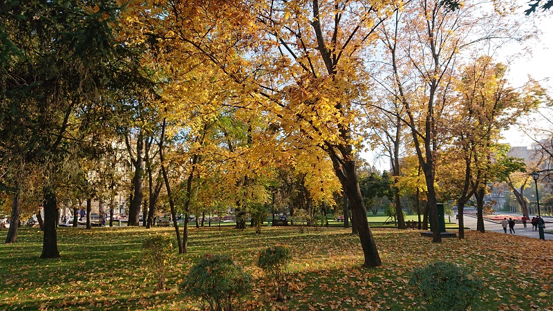 sony-xz3-24-3